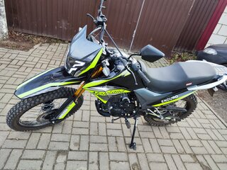 2024 Motoland Enduro 300, зелёный, 160000 рублей, вид 2