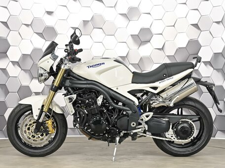 2008 Triumph Speed Triple, серый, 469000 рублей, вид 4