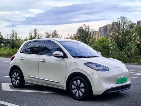 Wuling Binguo