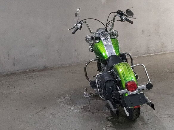 1989 Harley-Davidson Softail Custom, зелёный, 598000 рублей - вид 3