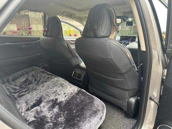 2019 Lexus NX 300h I Рестайлинг, серебристый, 3800000 рублей - вид 21