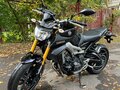 2014 Yamaha MT-09 (FZ-09), фиолетовый