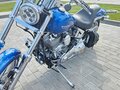 2005 Harley-Davidson Softail Standard, голубой, 837090 рублей - вид 9
