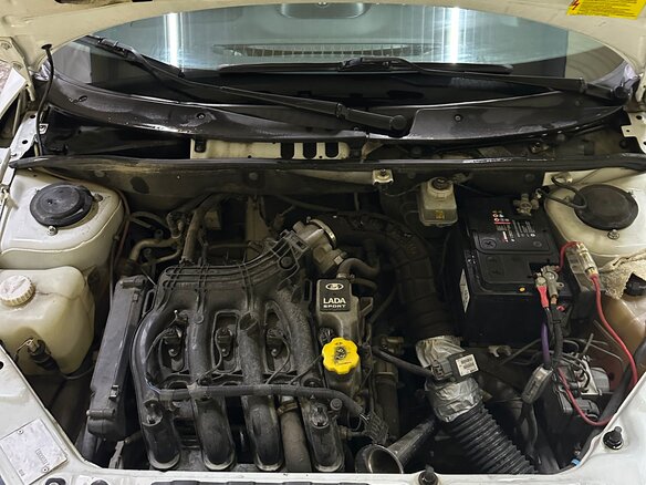 2015 Lada (ВАЗ) Kalina Sport II, белый, 545000 рублей - вид 10