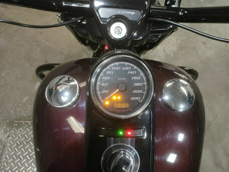 2018 Harley-Davidson Road King, пурпурный, 1520000 рублей, вид 5