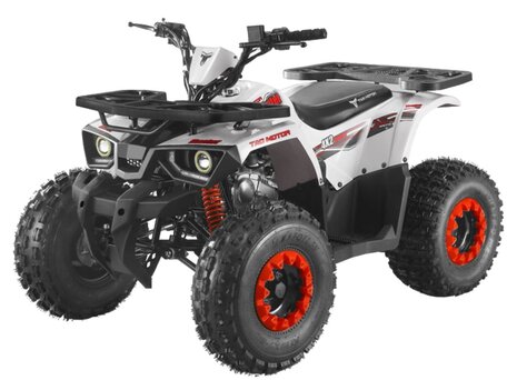 2026 Tao Motor Hunter 125, белый, 92200 рублей, вид 1