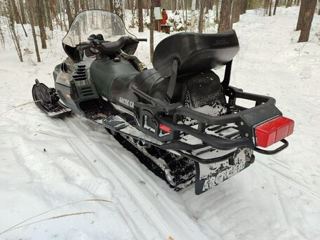 2001 Arctic Cat Panther, зелёный, 550000 рублей, вид 4