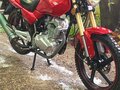 2022 Regulmoto T-Leopard 300, синий, 390000 рублей - вид 11