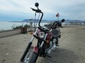 2000 Harley-Davidson Dyna Wide Glide, чёрный, 630000 рублей - вид 6