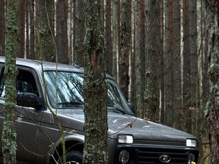 2025 Lada (ВАЗ) Niva Legend I, коричневый, 950000 рублей, вид 5