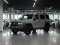 2024 Tank 300 I, серый