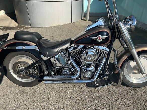 2004 Harley-Davidson Fat Boy, коричневый, 680000 рублей - вид 1
