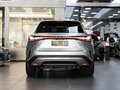 2025 Lexus RX 300 V, серебристый, 6960000 рублей - вид 6