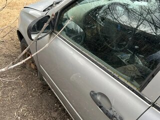 2007 Lada (ВАЗ) Kalina I, серебристый, 170000 рублей, вид 3
