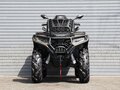 2026 Loncin XWolf 1000L Muddy, коричневый, 1399000 рублей - вид 1