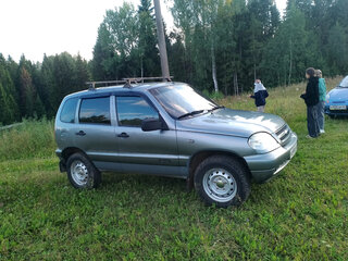 2008 Chevrolet Niva I, серый, 350000 рублей, вид 3