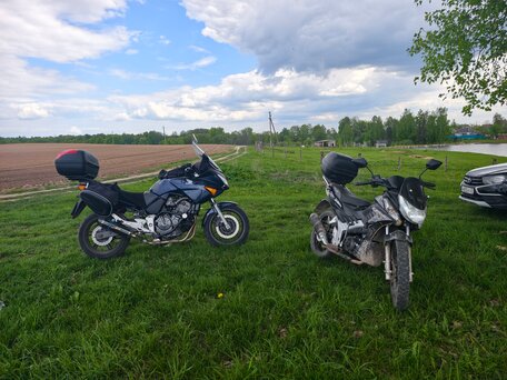2004 Honda CBF 600, синий, 305000 рублей, вид 3