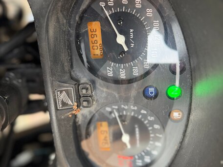 2006 Honda CBF 600, серый, 390000 рублей, вид 4