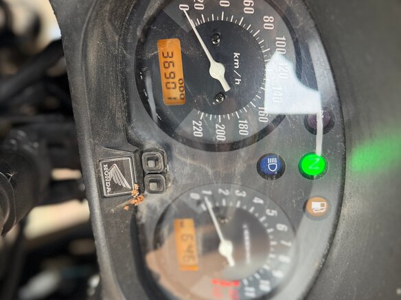 2006 Honda CBF 600, серый, 390000 рублей - вид 3