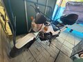 2013 Stels Десна 220 Фантом, белый, 110000 рублей