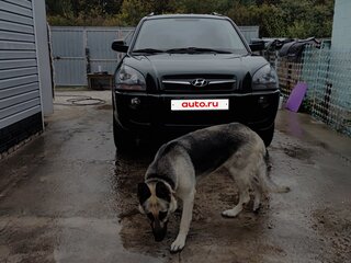 2008 Hyundai Tucson I, зелёный, 1000000 рублей, вид 2
