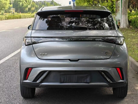 2025 BYD Dolphin 44.9 kWh I, серый, 1660000 рублей, вид 3