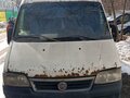 2010 Fiat Professional Ducato, белый, 280000 рублей