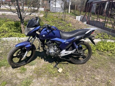 2014 Bashan BS200, синий, 80000 рублей, вид 3