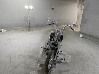 2005 Harley-Davidson Springer Softail, пурпурный, 752000 рублей, вид 3