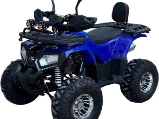 2026 Другие Мотовездеходы (другие), синий, 97800 рублей, вид 1