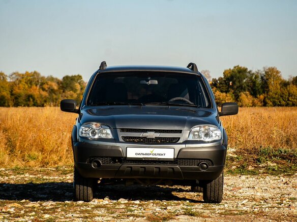 2015 Chevrolet Niva I Рестайлинг, серый, 570000 рублей - вид 2