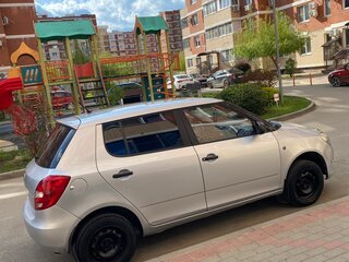2010 Skoda Fabia II Рестайлинг, серебристый, 470000 рублей, вид 5
