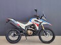 2026 Loncin DS250, белый, 258000 рублей