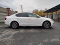 2014 Skoda Octavia III (A7), белый, 1120000 рублей - вид 5