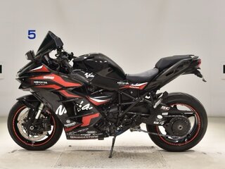 2018 Kawasaki Ninja H2 SX, чёрный, 1157000 рублей, вид 1