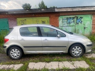 2006 Peugeot 307 I Рестайлинг, серый, 250000 рублей, вид 4