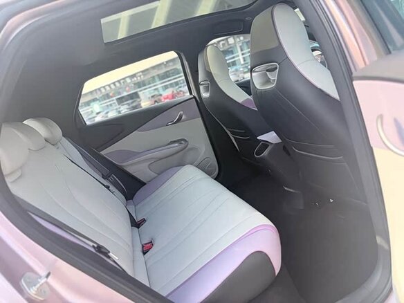 2022 BYD Dolphin 44.9 kWh I, розовый, 1300000 рублей - вид 11