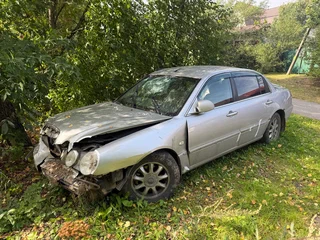 2006 Kia Opirus I Рестайлинг, серый, 100000 рублей, вид 1