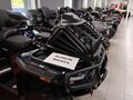 2026 Loncin XWolf 1000L Muddy, синий, 1399000 рублей - вид 3