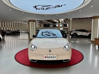 2024 Ora Good Cat 47.8 kWh I, бежевый, 1500000 рублей, вид 2