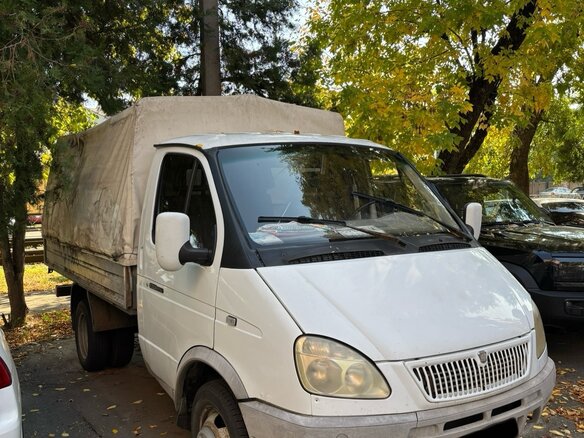 2005 ГАЗ ГАЗель (3302), белый, 700000 рублей