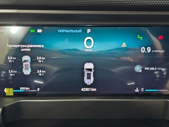 2024 Jetour T2, серый, 3500000 рублей - вид 4