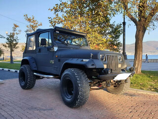 1995 Jeep Wrangler I (YJ), чёрный, 1290000 рублей, вид 1