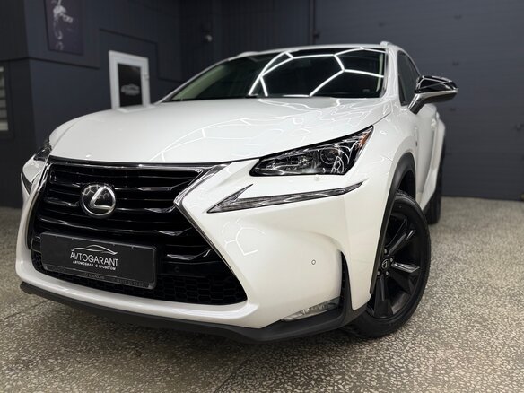 2017 Lexus NX 200 I Рестайлинг, белый, 2600000 рублей - вид 16