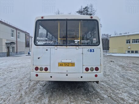 2018 ПАЗ 3205, белый, 500000 рублей, вид 5
