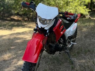 Aermacchi Ala Verde