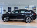 2026 Geely Monjaro, чёрный - вид 5