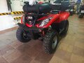 2010 Arctic Cat 300 Series, красный - вид 2