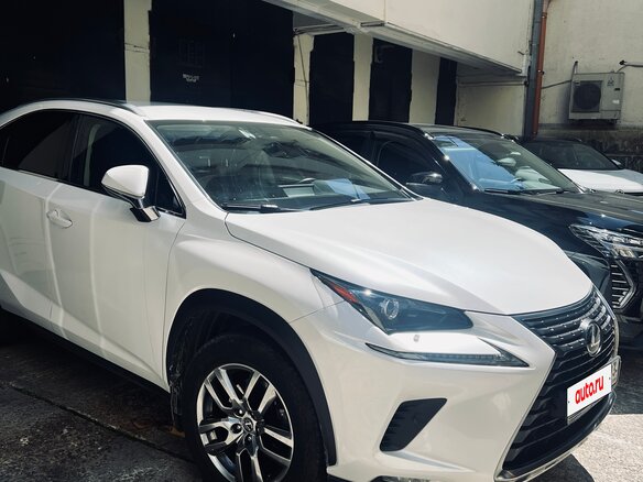 2021 Lexus NX 200 I Рестайлинг, белый, 4650000 рублей - вид 5