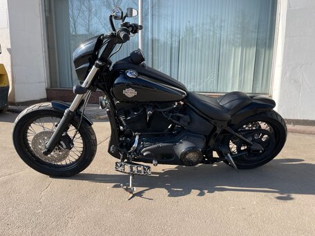 2001 Harley-Davidson Softail Custom, чёрный, 1790000 рублей, вид 5